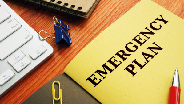 Pandemic Preparedness with a One Health Approach